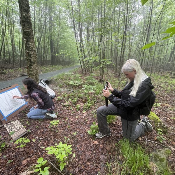 A Park intern films an Artist-in-Residence at work.