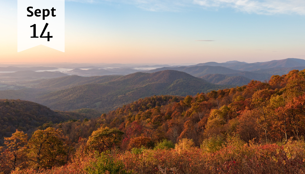 Wine on the Rooftop – Art in Shenandoah