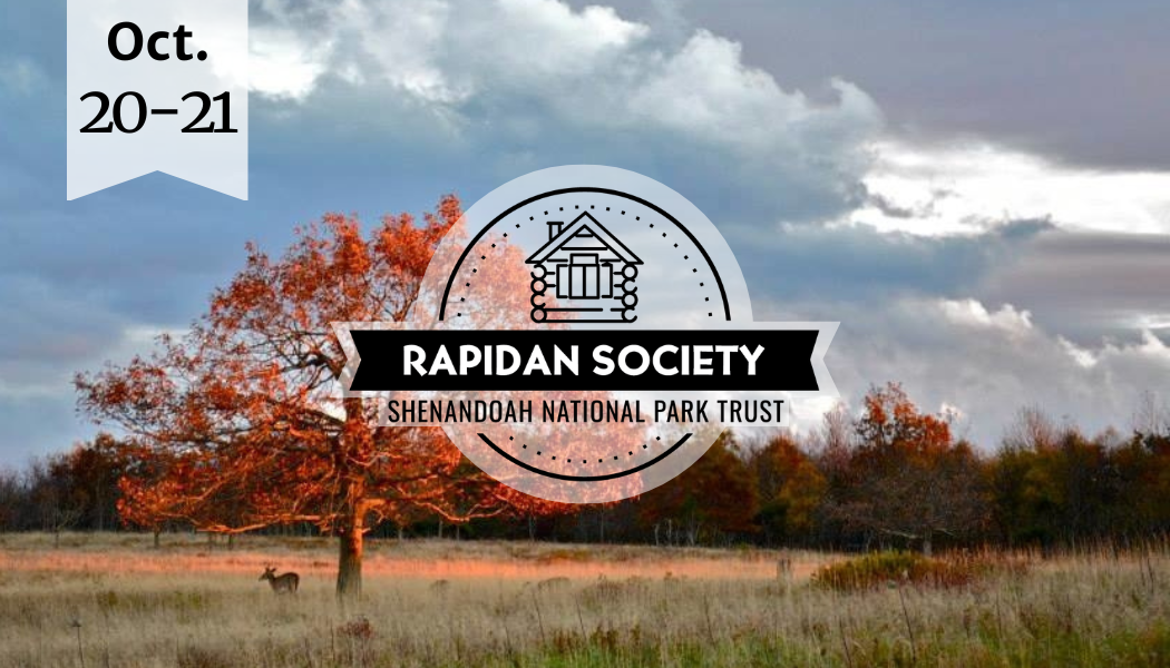 October Weekend in the Park