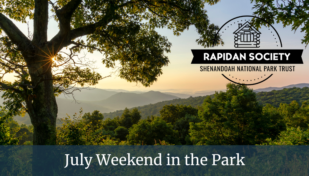 July Weekend in the Park