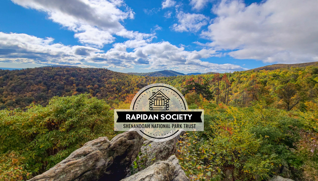 Rapidan Picnic