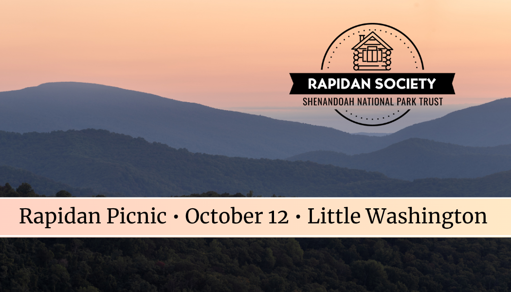 Rapidan Picnic