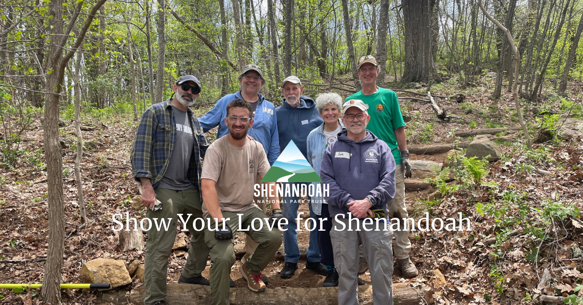 Show Your Love for Shenandoah