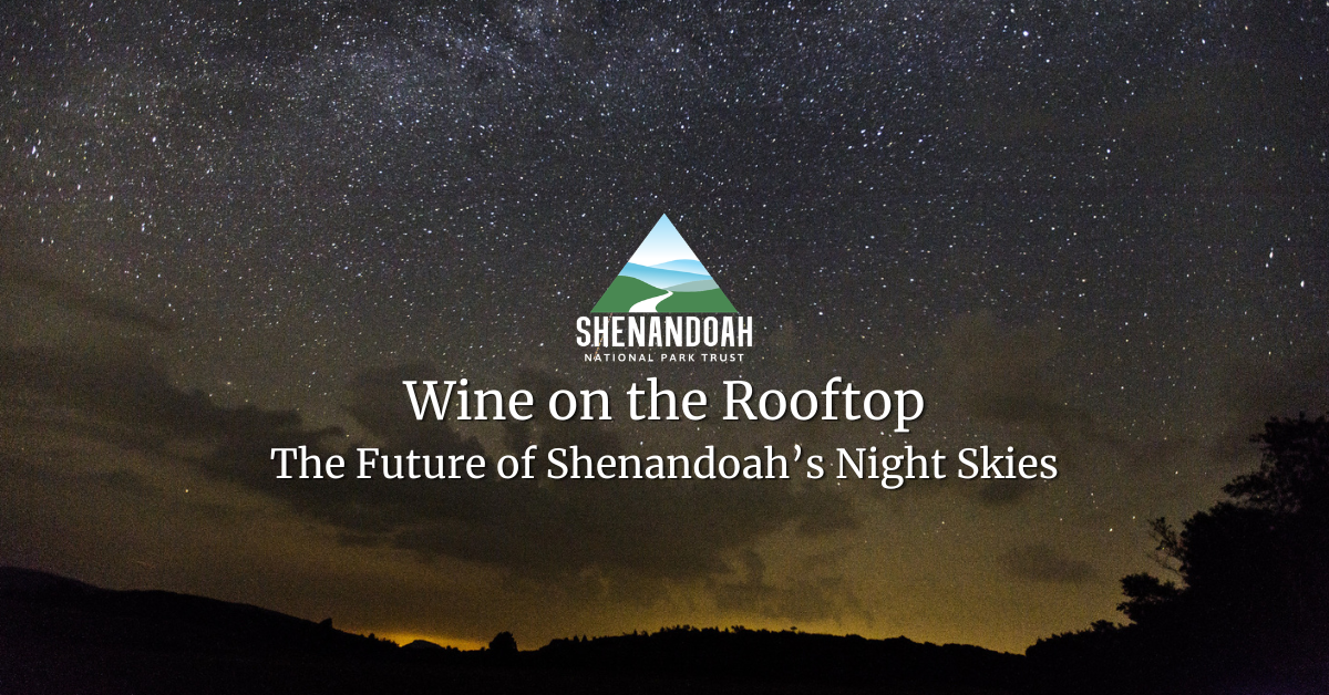 Wine on the Rooftop