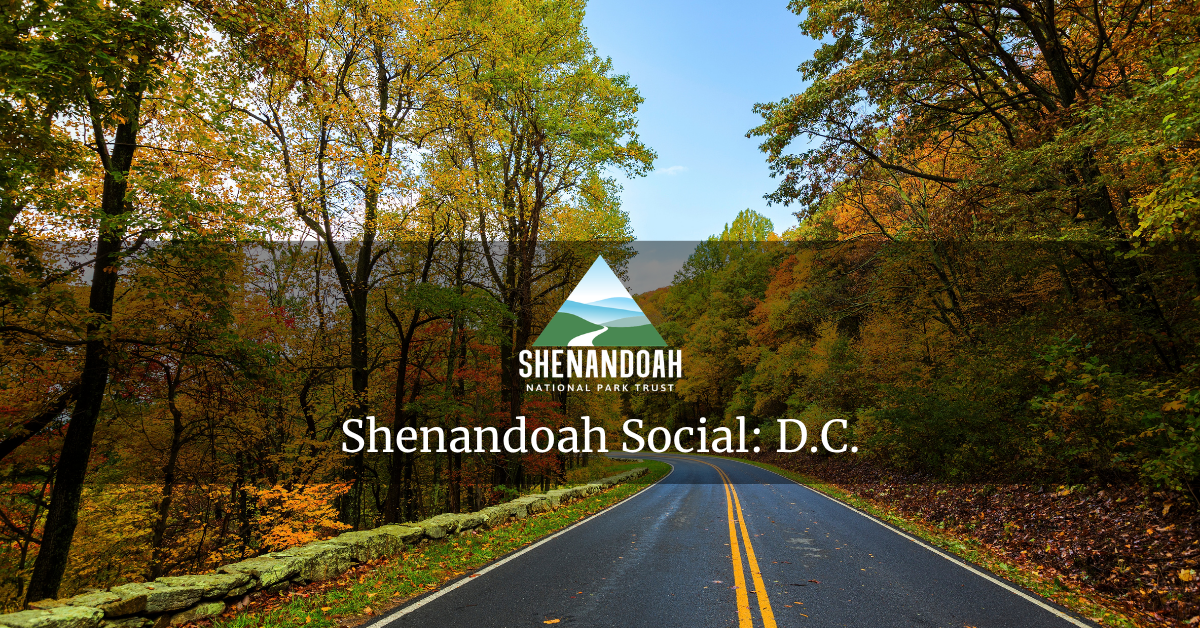 Shenandoah Social: D.C.